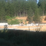May 2006